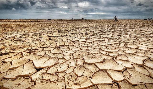 Meteoroloji açıkladı: Sakarya'da kuraklık alarmı!