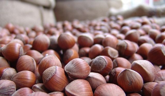 Fındık piyasa krizde: Fiyatlarda sert düşüş!