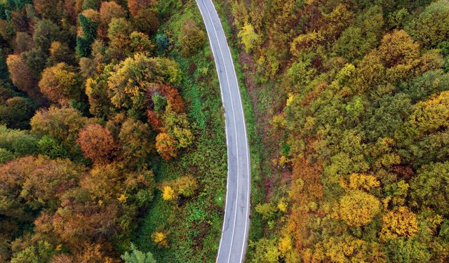 Sonbahar güzelliği Çam Dağı'nı sardı