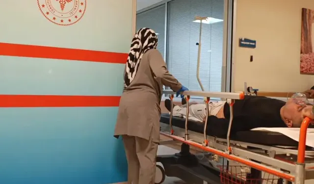 Mantar sezonu açıldı: 1 kişi zehirlendi