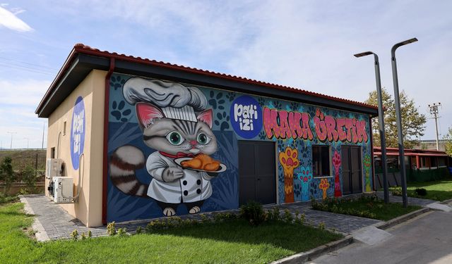 Büyükşehir'den sokak hayvanlarına mama üretim tesisi