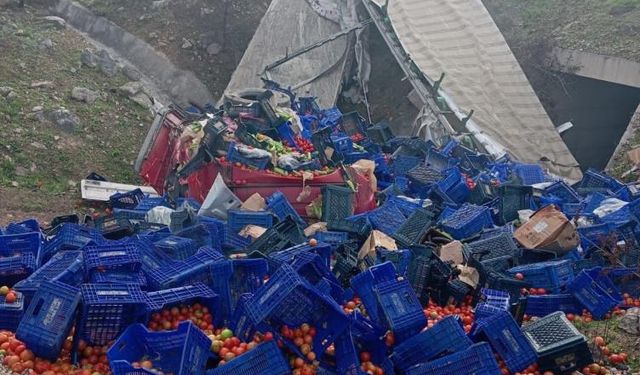 Kontrolden çıkan sebze yüklü tır devrildi