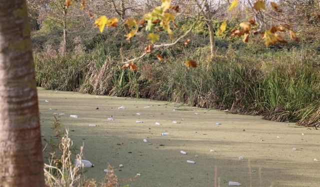 Su kanalı çöplüğe döndü