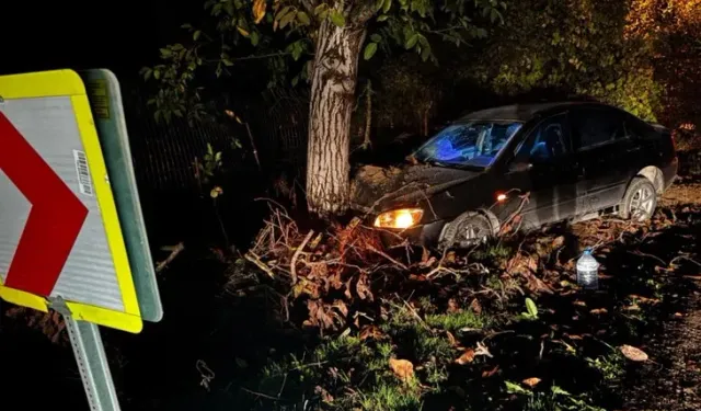 Otomobil ağaca çarptı: 3 kişi yaralandı