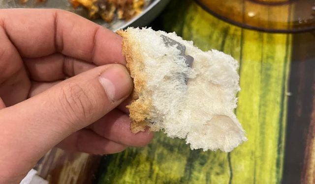 Ekmeğin içinden çıkanı görünce şok oldu