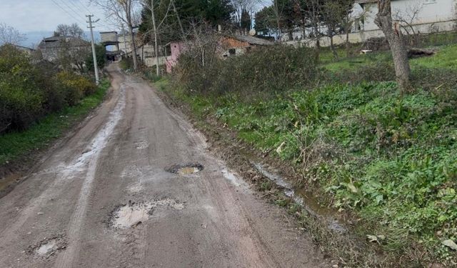 Mahallenin yol çilesi bitmiyor