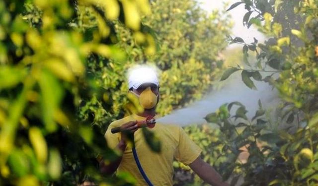 Böcek ilaçları artık reçetesiz satılamayacak