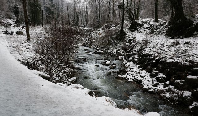 Beyaz örtü derelere can oldu