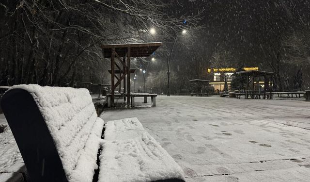 Sakarya'ya dün gece beklenen kar geldi