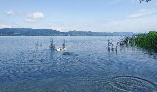 Sapanca Gölü'nde seviye yükseldi