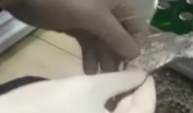 1'i avukat 3 kişi tutuklandı