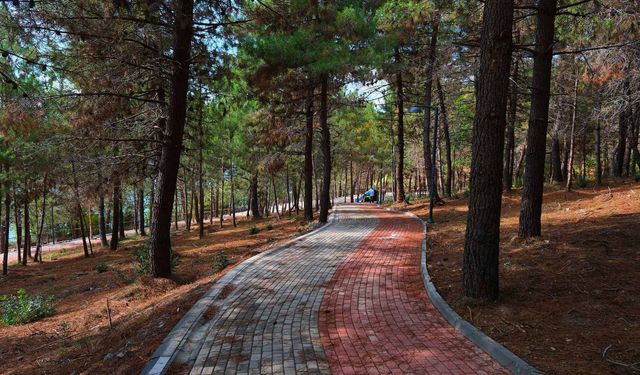 Sakaryalılar baharı ''Huzur Koridoru'nda'' koşarak karşılayacak