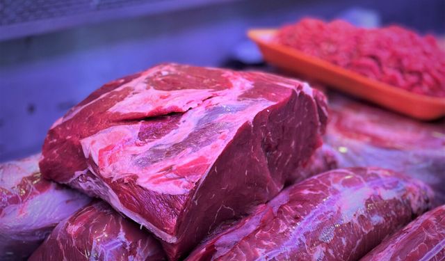 Sakarya'da "Et Çetesi" çökertildi!