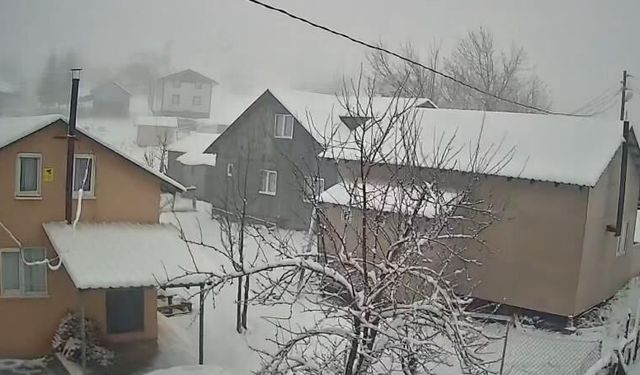 Sakarya'nın yüksek kesimleri beyaza büründü