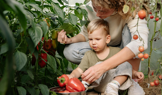 Çocuklar için özel tarım atölyesi ihaleye çıkıyor