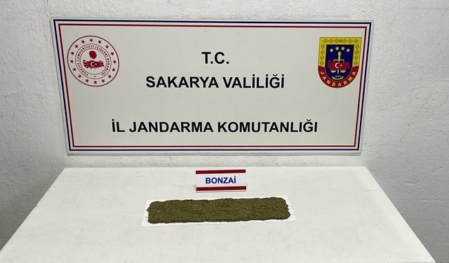 3 ilçede uyuşturucu operasyonu!