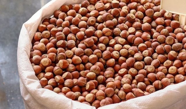 Fındık fiyatlarında son durum ne?