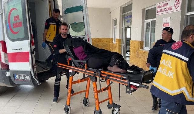 İnek kavgası kanlı bitti: 1 ölü 3 yaralı