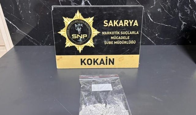 Kokain sevkiyatına gişelerde darbe