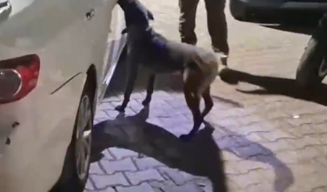 KMO'da uyuşturucu operasyonu: 2 kişi tutuklandı