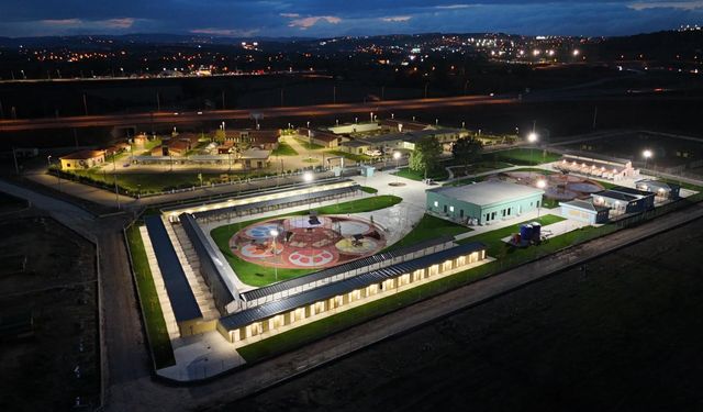 700’ü aşkın patili dosta sıcak yuva