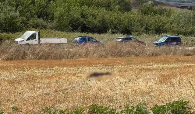 Günler sonra başka şehirde cansız bedeni bulundu