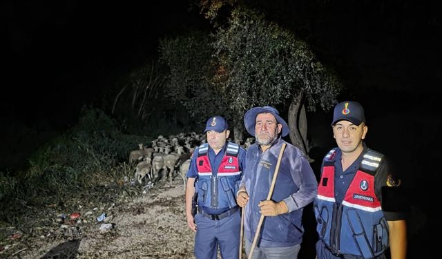 Kaybolan çoban Sakarya'da bulundu