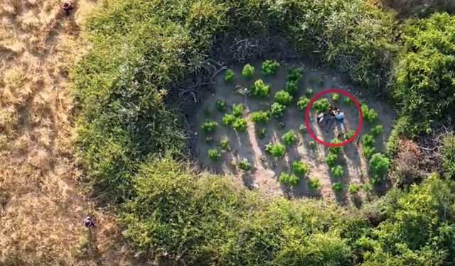 Sakarya dahil 28 ilde dev operasyon!