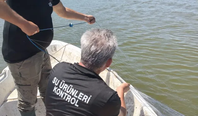 22 bin metrekarelik kaçak ağ toplandı