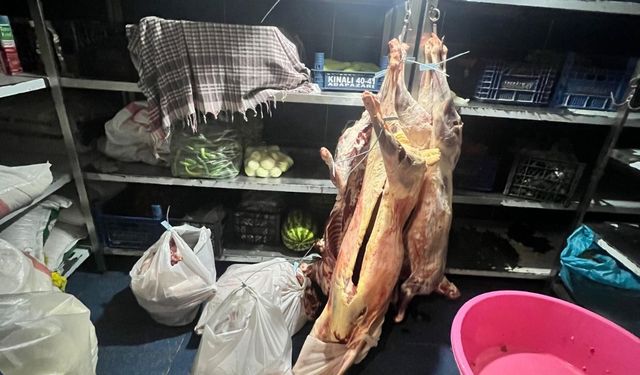 Tonlarca et imha edildi