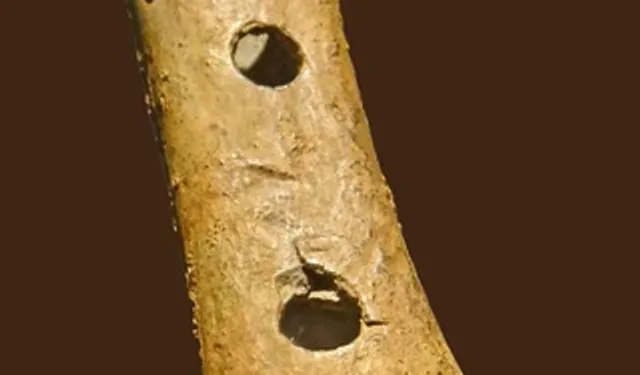 Troya’da 160 yıllık sır çözüldü! Tarihi kazıda ilk müzik aleti bulundu