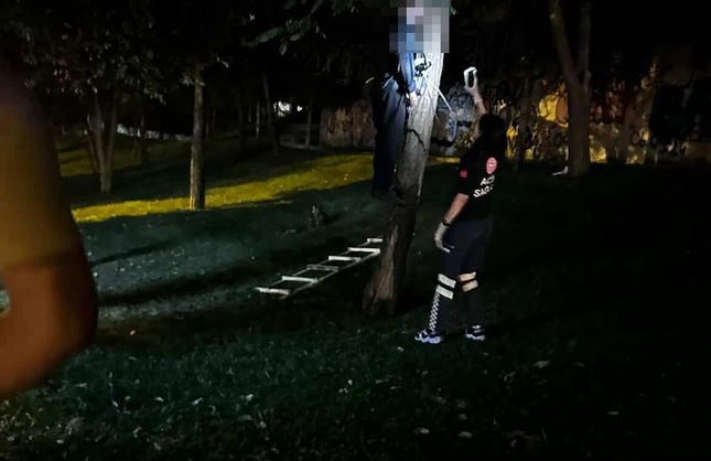 Yol kenarındaki ağaçta cansız beden bulundu!