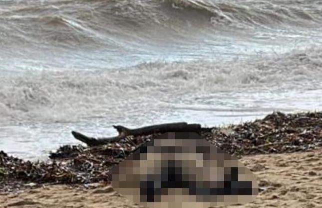 Kıyıya vuran kadın cesedinde sır perdesi aralanıyor