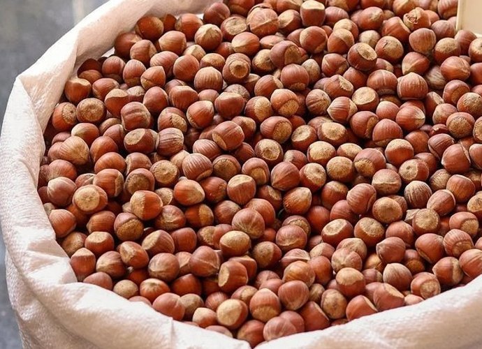 Fındık fiyatlarında son durum ne?