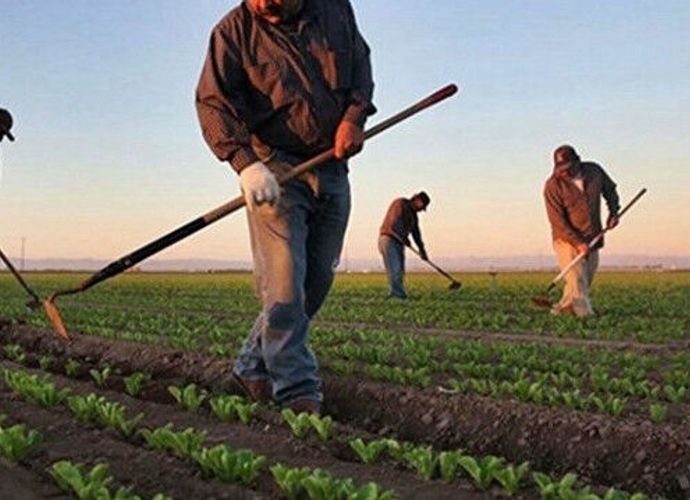 Serdivan'dan çiftçiye dev destek