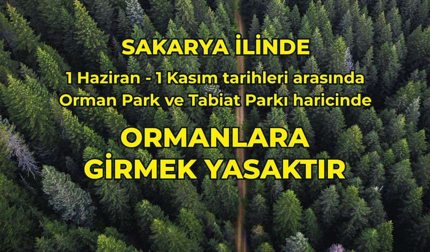 Sakarya'da orman yangınlarına karşı yeni yasaklar geldi!