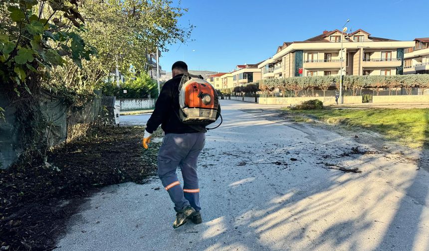 Serdivan'da mahalleler temizleniyor