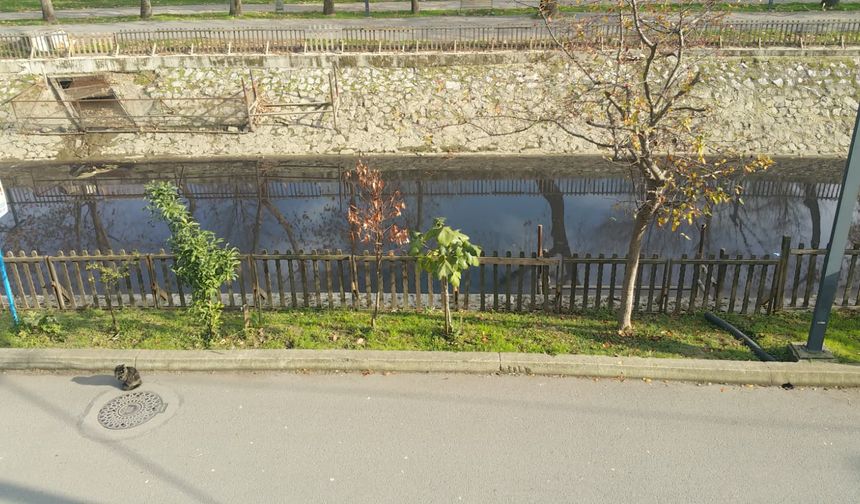 Çark Deresi'nde siyah su alarmı