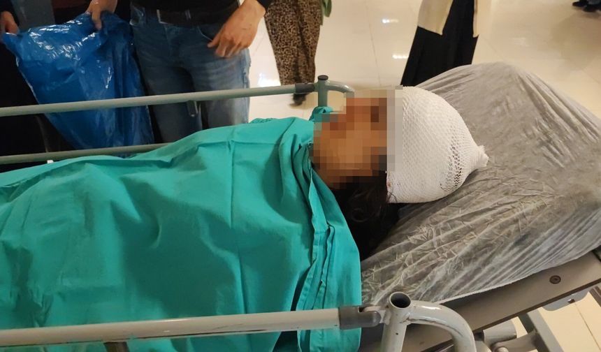 Sokak köpeklerinin saldırısına uğradı!