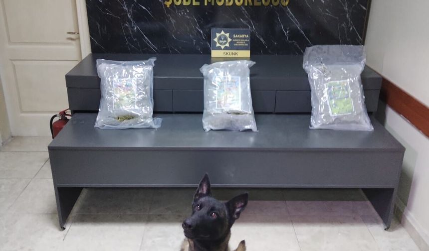 Zehir tacirleri yakalandı