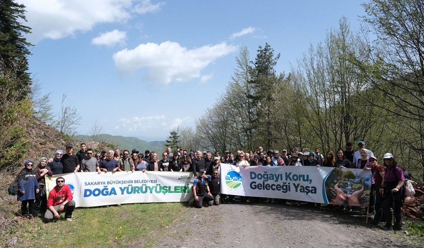Hendek yaylalarında görsel şölen