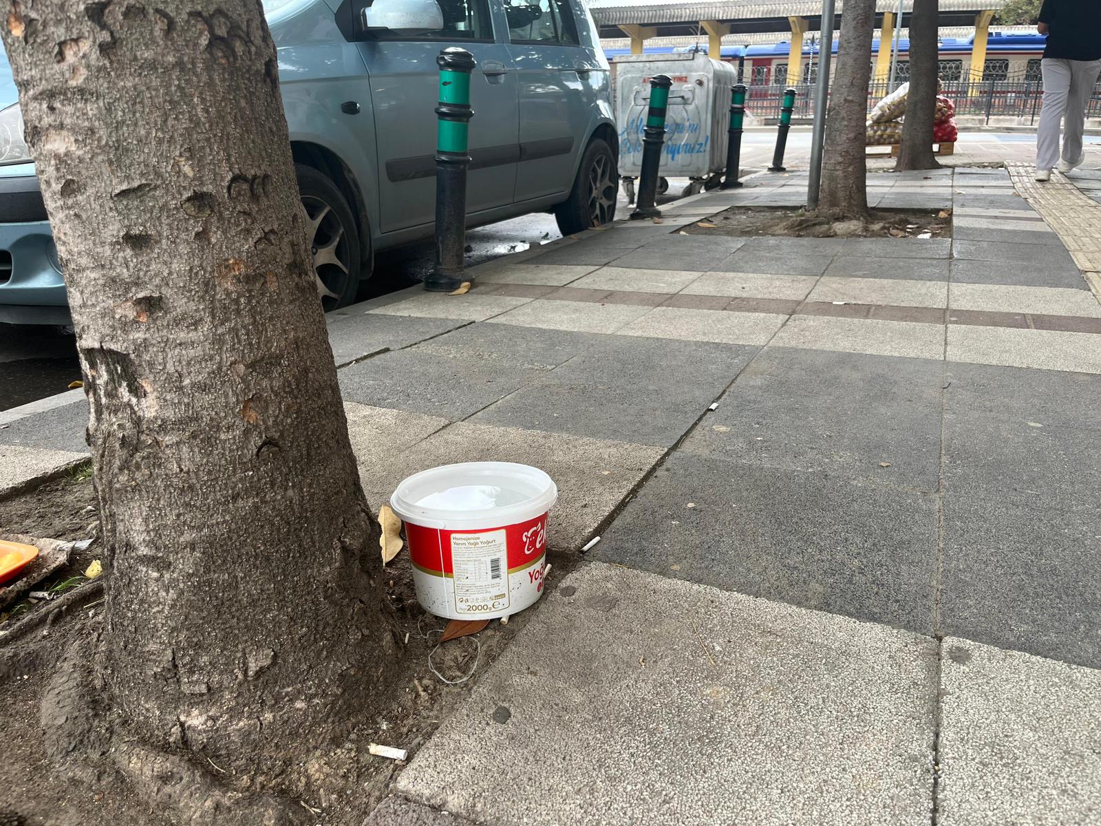 61F9Aadd 4731 4D12 Bc81 C8Dfcd03Befd