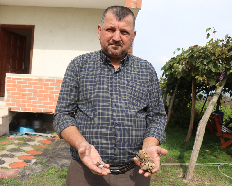 Ekran Görüntüsü 2025 10 09 123926