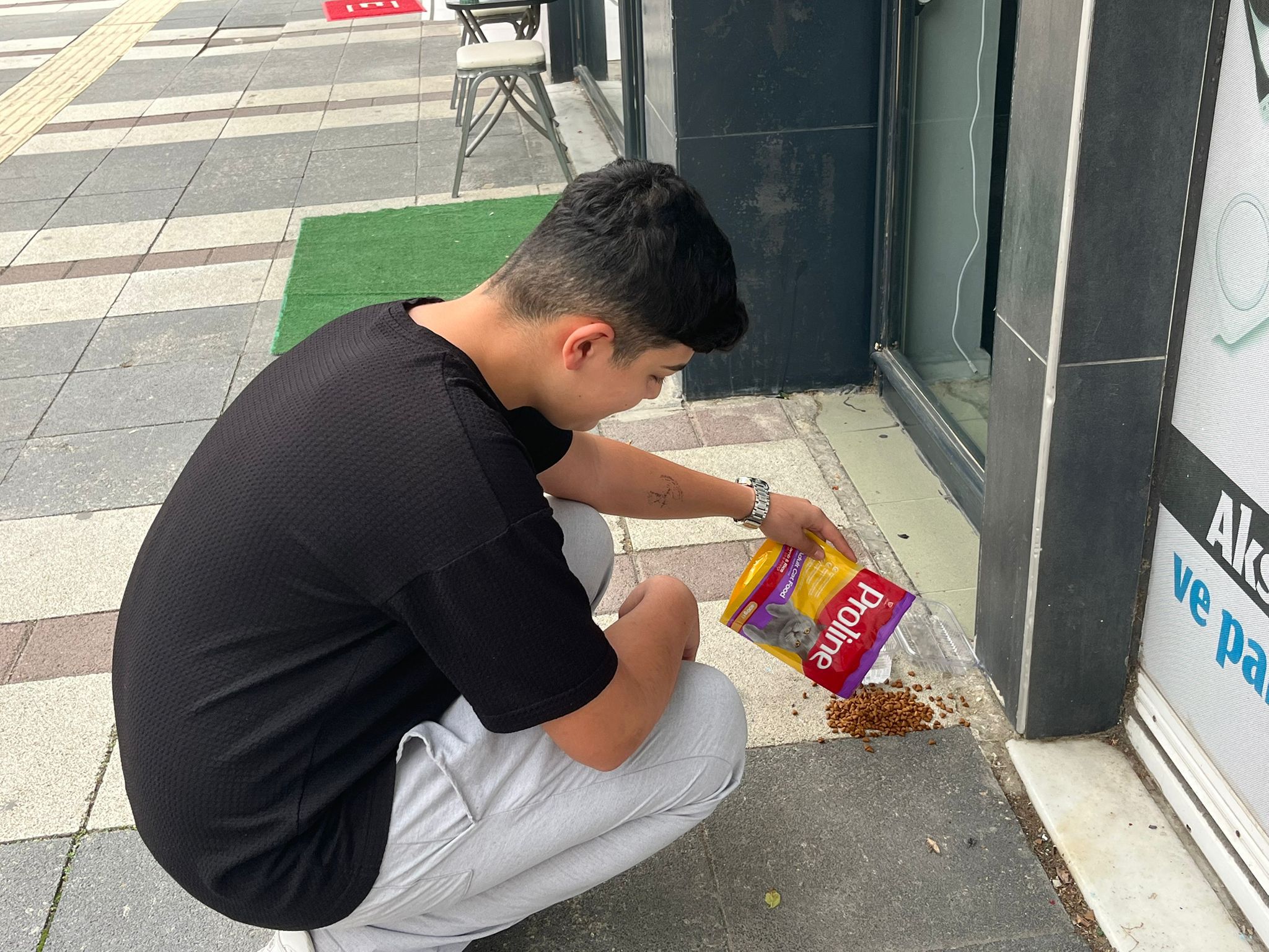 Fea00100 05Dd 49B3 A6F3 9E9E58115443