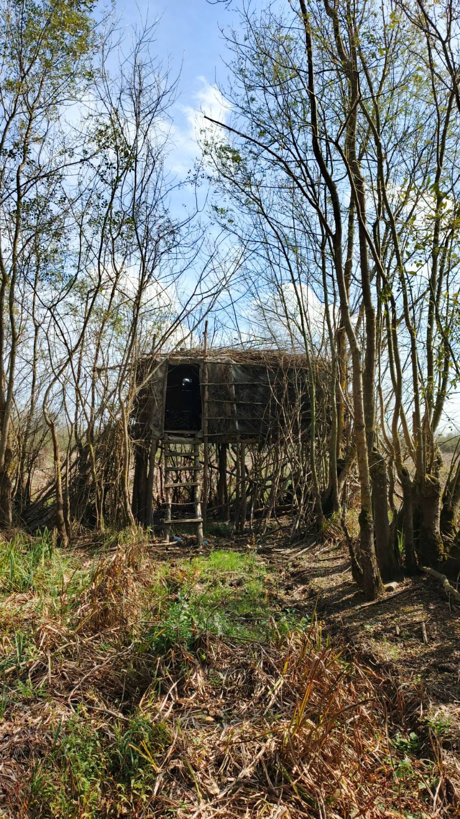 Whatsapp Image 2025 10 22 At 13.46.39