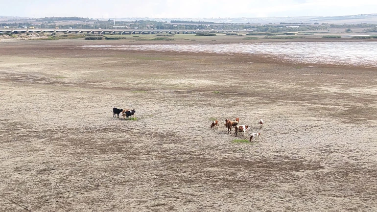 68F0125Acf2869F53707Ce4B