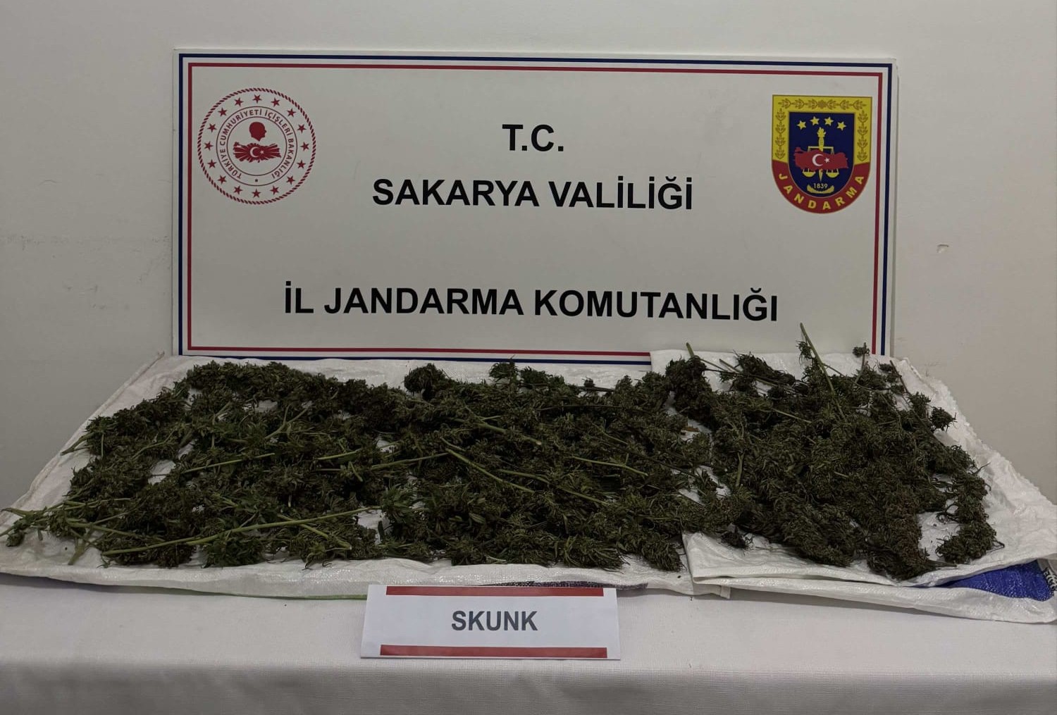 Whatsapp Image 2025 11 04 At 11.42.22-1