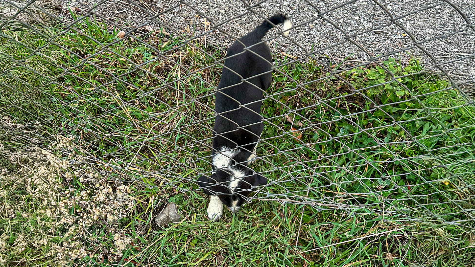 1 2025 12 03T154831.533