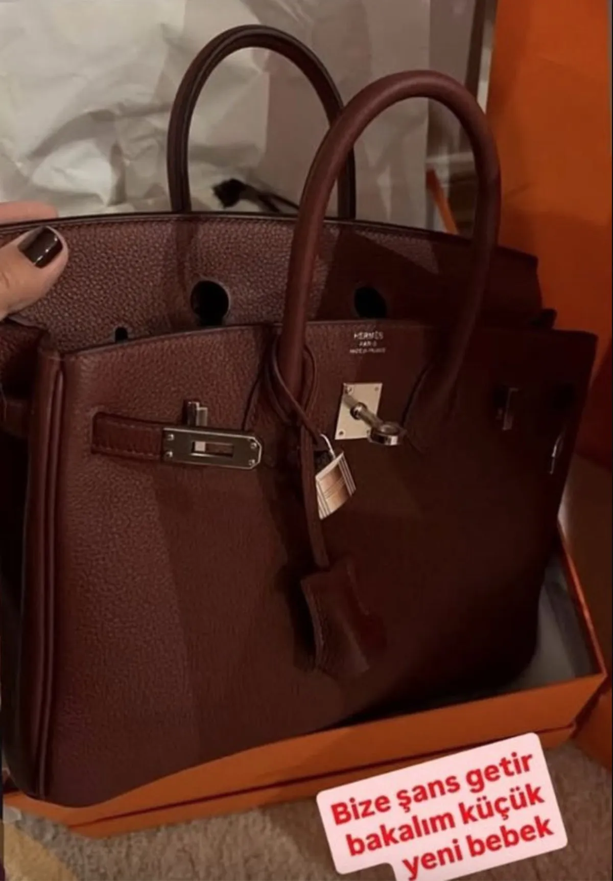 694269Cd9Bdc7557 W1200Xh1724