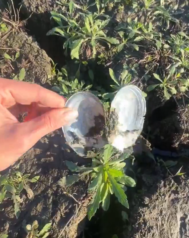 Ekran Görüntüsü 2025 12 25 170506